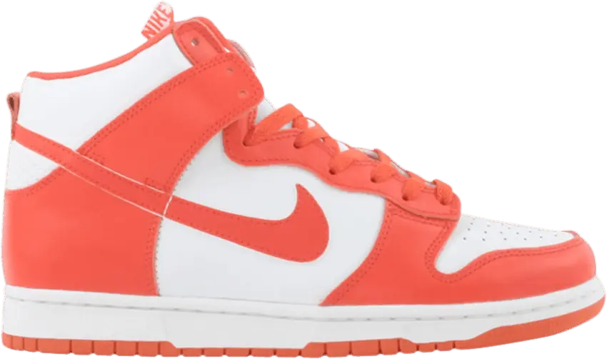  Nike Dunk High Le