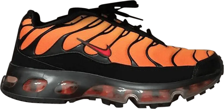 Nike Air Max TN 360 &#039;Tiger&#039;