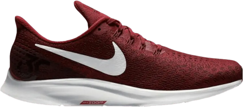  Nike Air Zoom Pegasus 35 TB &#039;Team Maroon&#039;