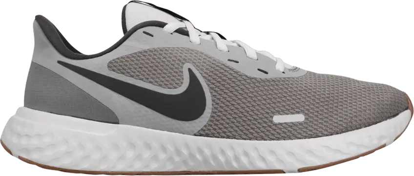 Nike Revolution 5 Smoke Grey
