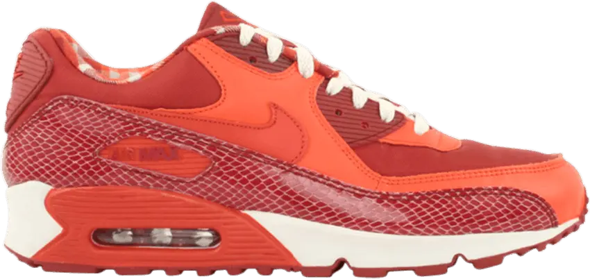  Nike Air Max 90 Steve Nash