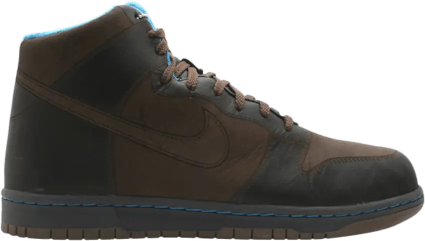  Nike Dunk Hi 1 Piece Goretex