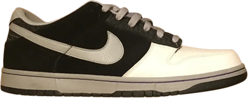  Nike Dunk Low 6.0