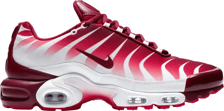  Nike Air Max Plus After the Bite