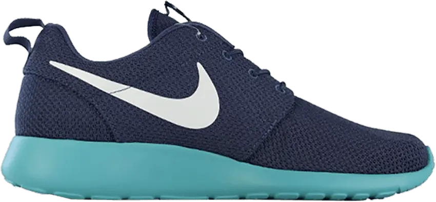  Nike Roshe Run Squadron Blue