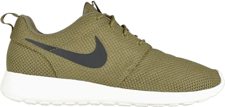  Nike Roshe Run &#039;Iguana&#039;