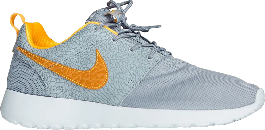  Nike size? x Roshe Run &#039;Cement Collection&#039;