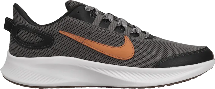 Nike Runallday 2 &#039;Metallic Copper&#039;