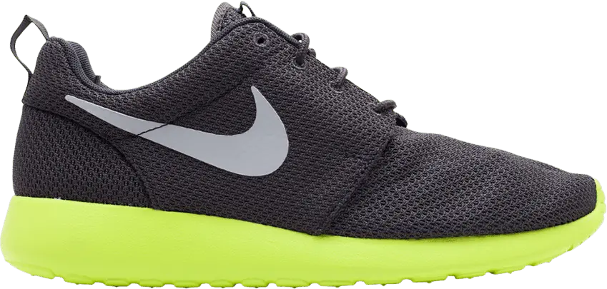  Nike Rosherun &#039;Anthracite&#039;