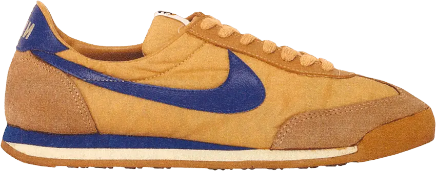  Nike Unknown &#039;Gold Blue&#039;