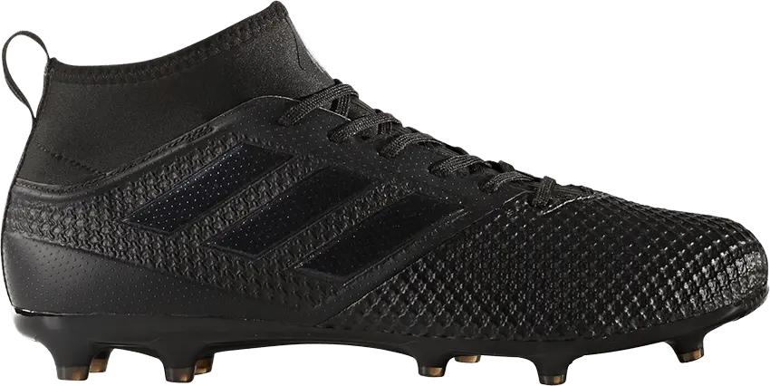  Adidas ACE 17.3 FG &#039;Core Black&#039;