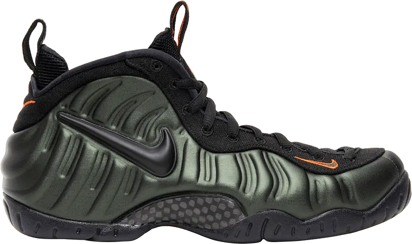  Nike Air Foamposite Pro Sequoia