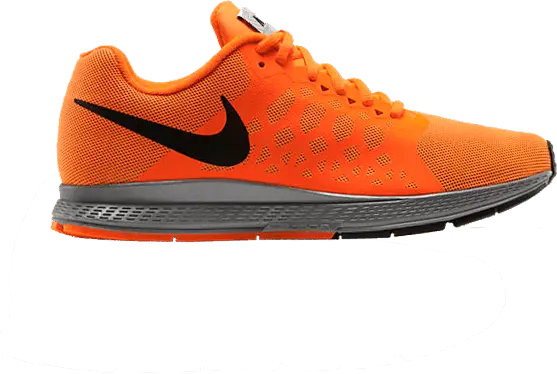  Nike Air Zoom Pegasus 31 Flash