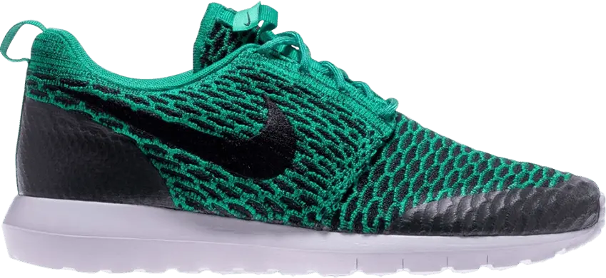  Nike Roshe NM Flyknit SE