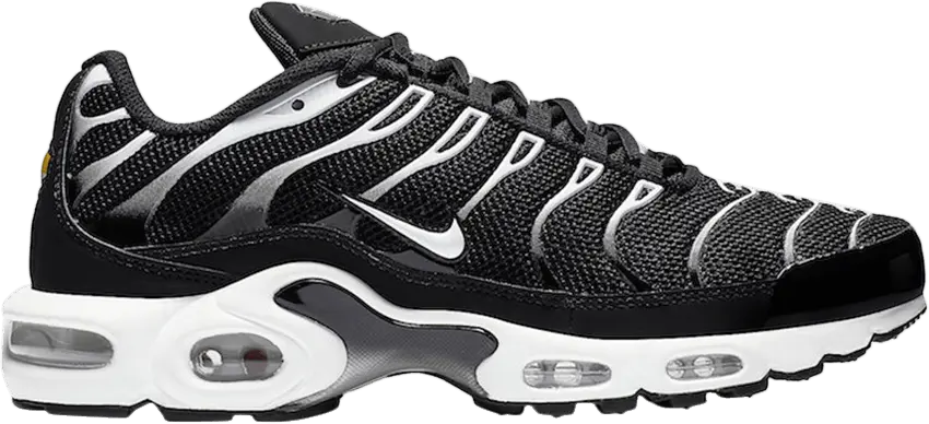  Nike Air Max Plus &#039;Black Silver&#039;