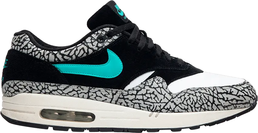  Nike Air Max 1 Atmos Elephant (2007)