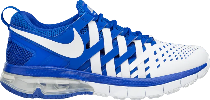  Nike Fingertrap Max TB &#039;Game Royal&#039;