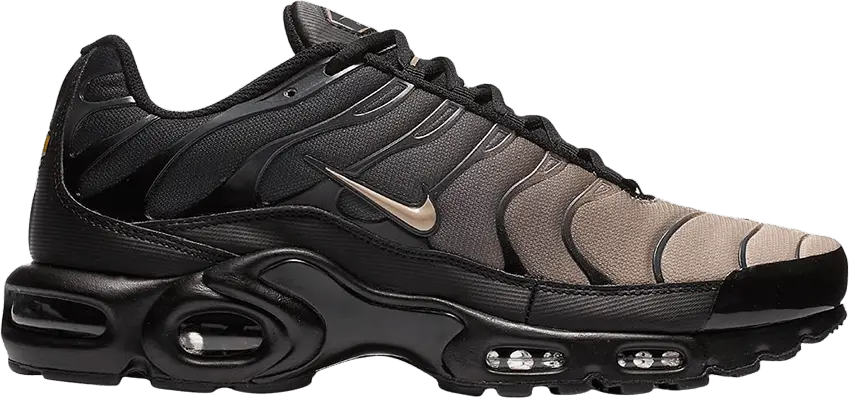  Nike Air Max Plus Gradient Pack (Black)