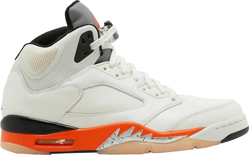 Air Jordan 5 Retro &#039;Shattered Backboard&#039; Sample