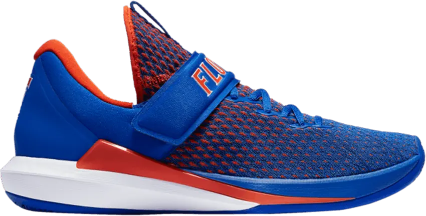  Jordan Trainer 3 Florida Gators