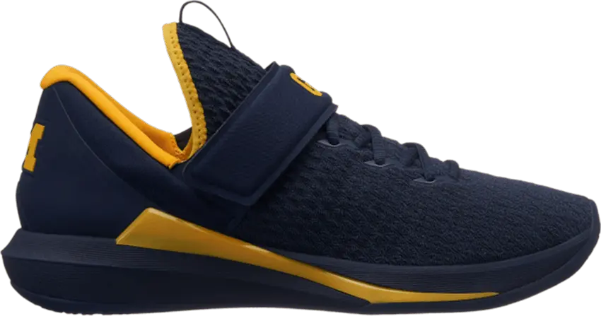  Jordan Trainer 3 &#039;Michigan Wolverines&#039;