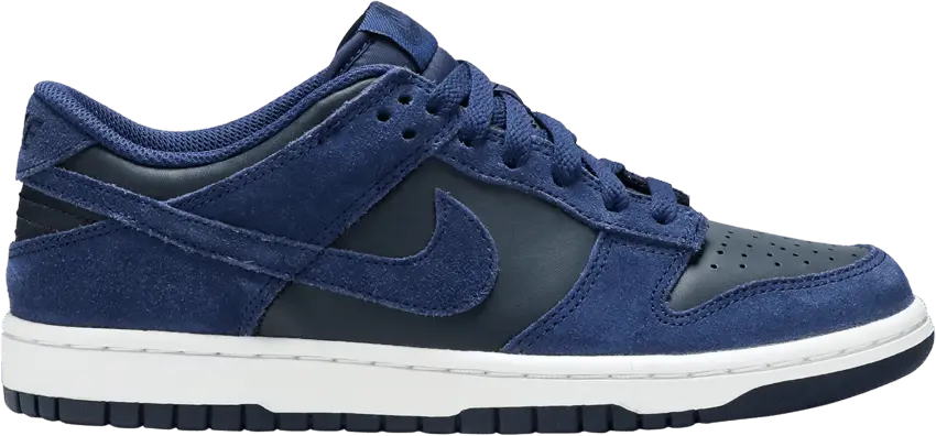  Nike Dunk Low GS &#039;Binary Blue&#039; [Binary Blue/Dark Obsidian/White]