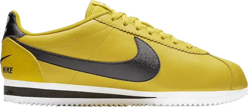  Nike Classic Cortez Blazing Sun