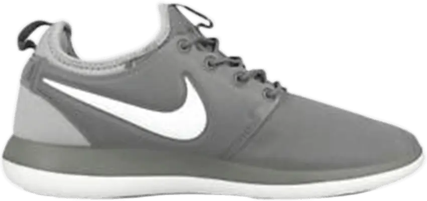 Nike Roshe Two Cool Grey (GS)