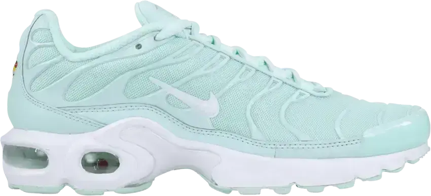  Nike Air Max Plus Igloo (GS)