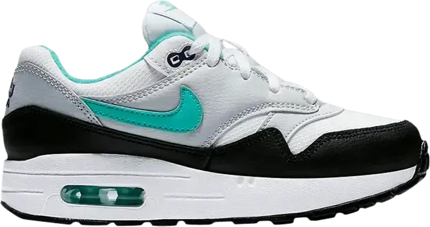  Nike Air Max 1 PS &#039;Dusty Cactus&#039;