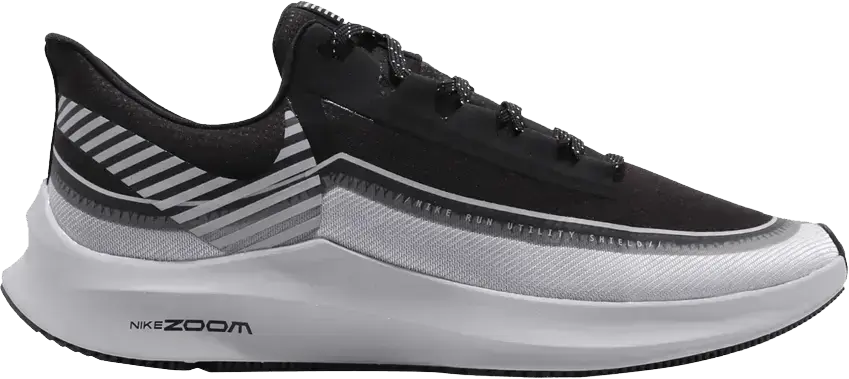  Nike Zoom Winflo 6 Shield Reflect Silver