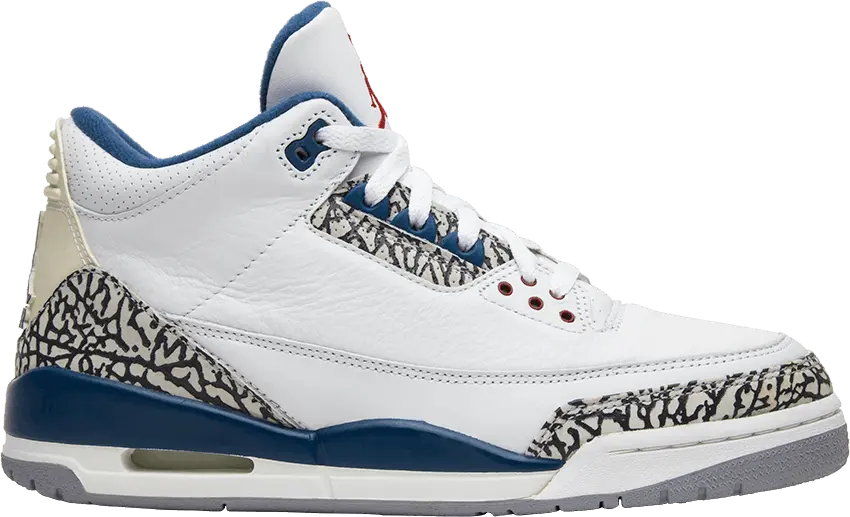  Air Jordan 3 Retro &#039;True Blue&#039; 2009