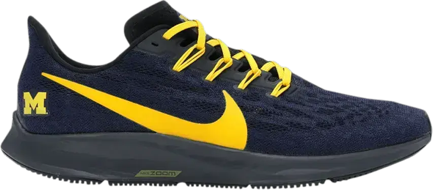  Nike Air Zoom Pegasus 36 Michigan