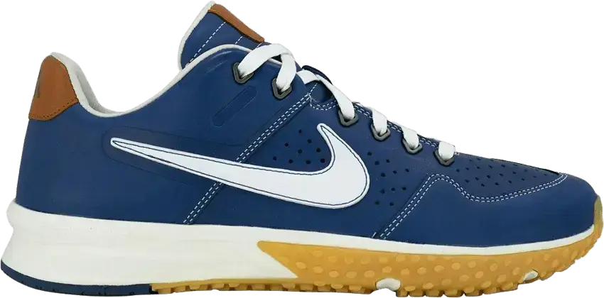  Nike Alpha Huarache Turf 2 Baseballism Flag Man Pro Blue