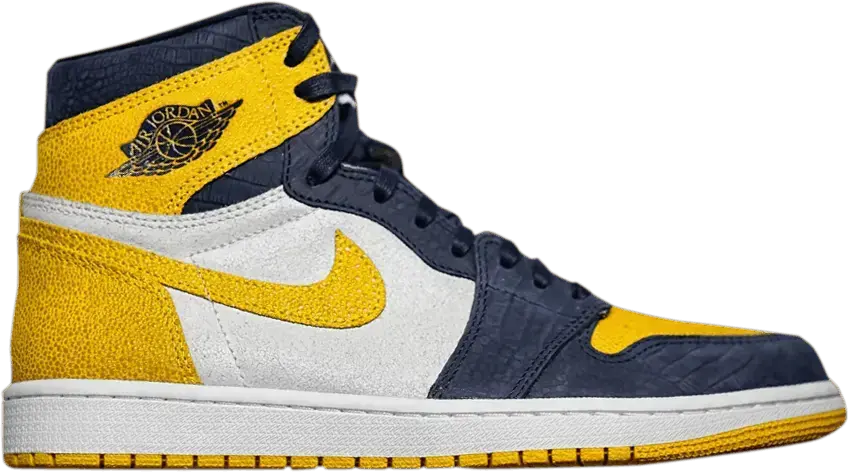  Jordan 1 Retro High Michigan PE