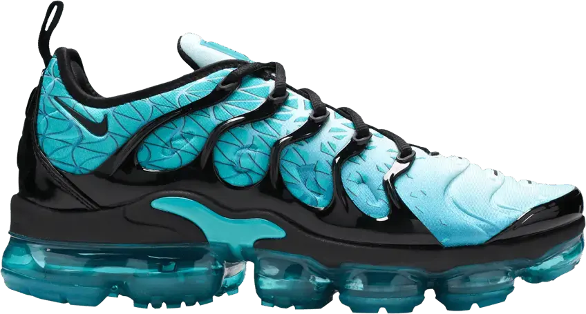  Nike Air VaporMax Plus Spirit Teal