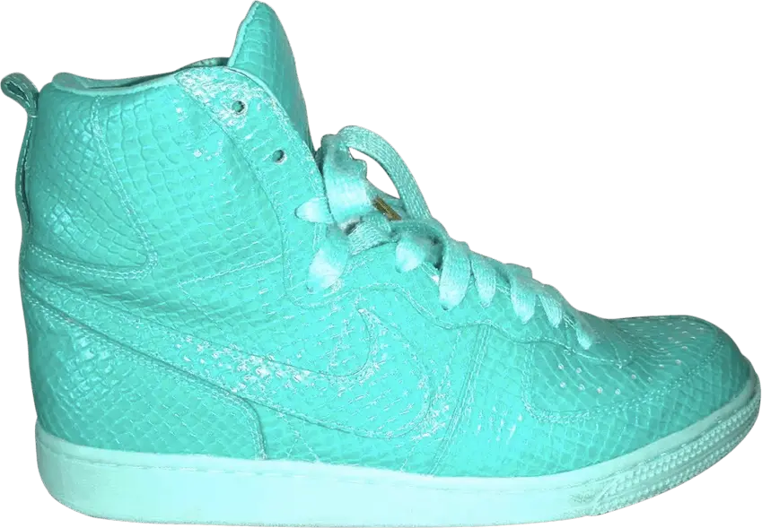  Nike Terminator Hi Swagger