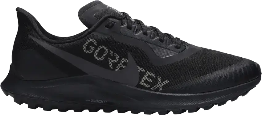  Nike Zoom Pegasus 36 Trail Gore-tex Black