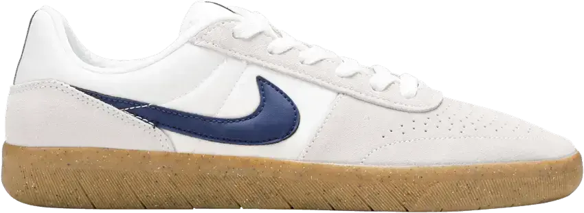  Nike SB Team Classic Summit White Blue Void