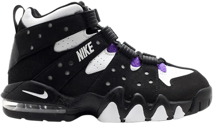  Nike Air Max 2 CB 94 GS &#039;Black Purple&#039; 2010