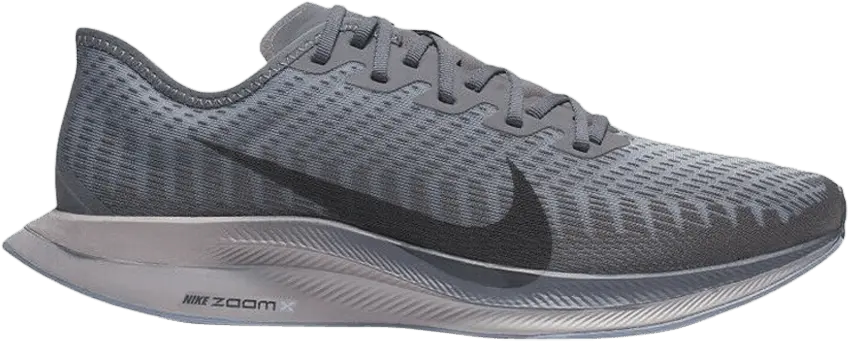  Nike Zoom Pegasus Turbo 2 Thunder Grey