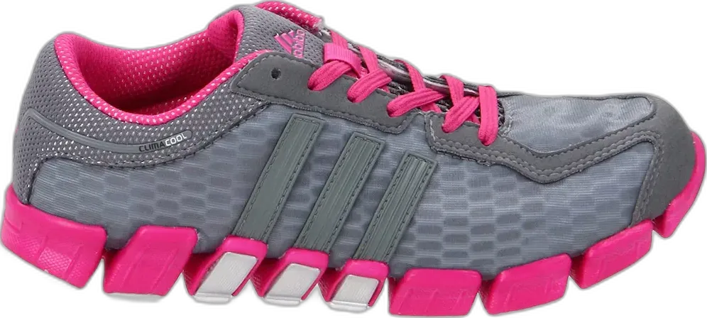  Adidas adidas Climacool Ride Metallic Lead Pink (GS)