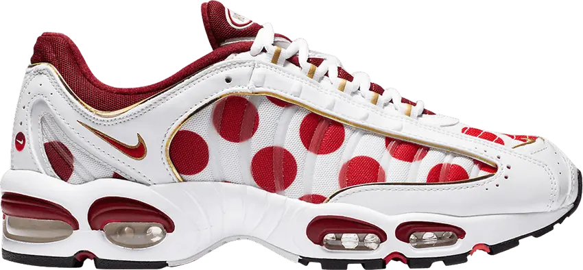  Nike Air Max Tailwind 4 Nippon