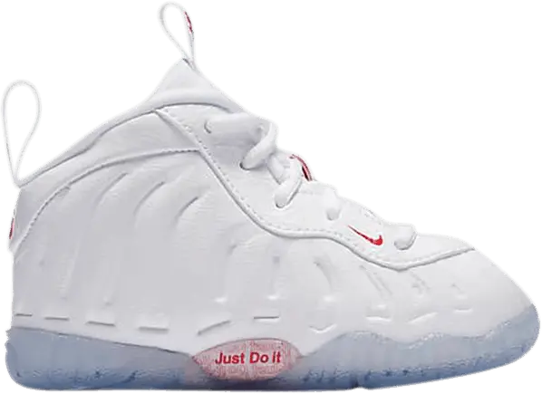  Nike Air Foamposite One Takeout Bag (TD)