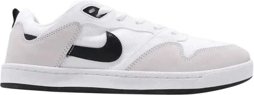 Nike Sb Alleyoop White