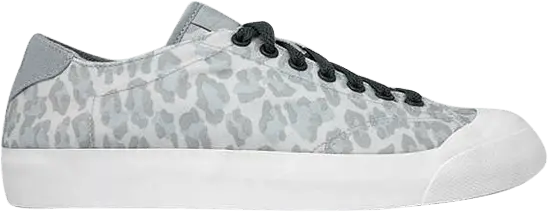  Nike Zoom All Court 2 Low Fragment Leopard Grey