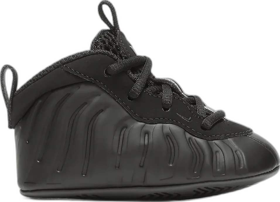  Nike Air Foamposite One Anthracite (2020) (I)