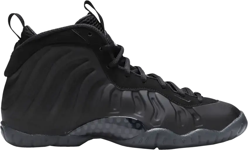  Nike Air Foamposite One Anthracite (2020) (GS)