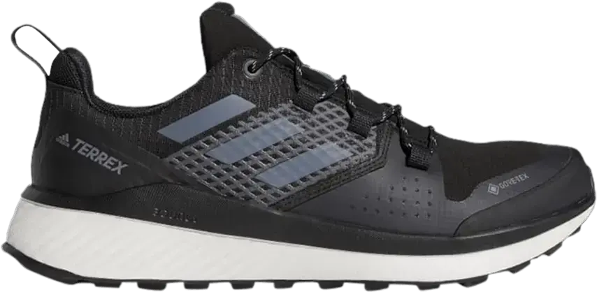  Adidas Terrex Folgian Hiker GTX &#039;Black Grey&#039;