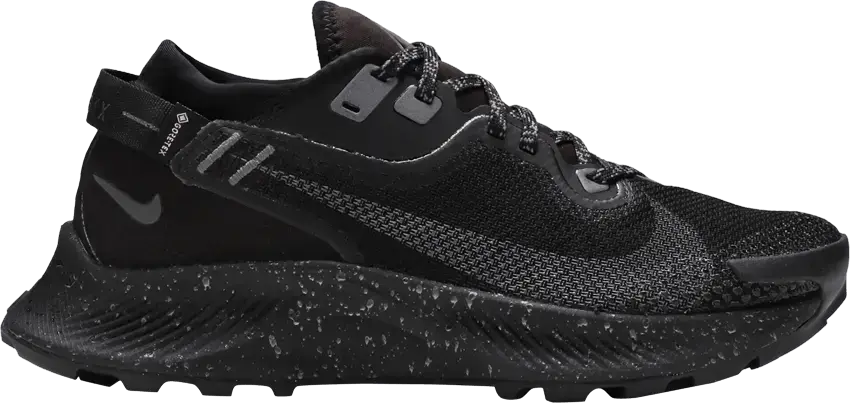  Nike Pegasus Trail 2 Gore-Tex Black Metallic Dark Grey (Women&#039;s)
